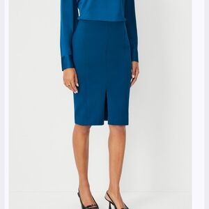 Ann Taylor NWT Size 6 Pencil Skirt